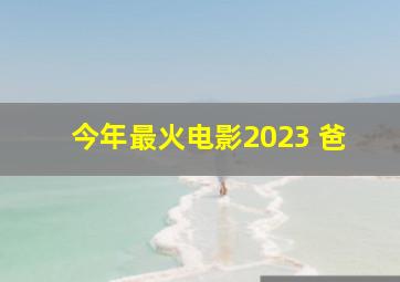 今年最火电影2023 爸